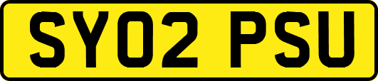 SY02PSU