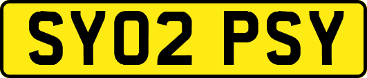 SY02PSY