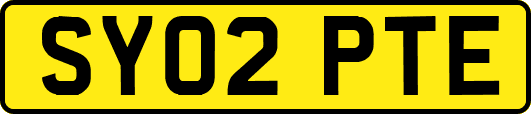 SY02PTE