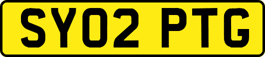 SY02PTG