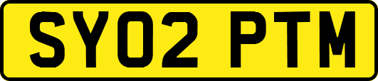SY02PTM