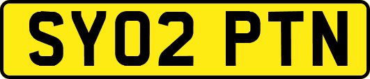 SY02PTN