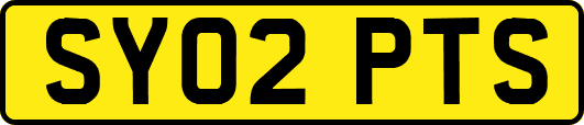 SY02PTS