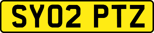 SY02PTZ