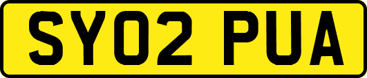 SY02PUA
