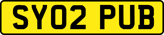 SY02PUB