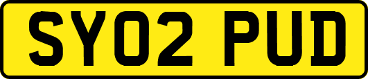 SY02PUD