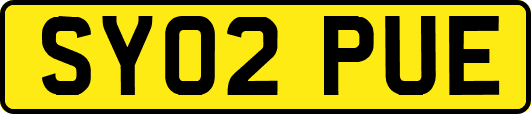 SY02PUE