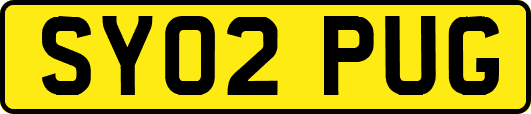 SY02PUG