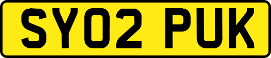 SY02PUK