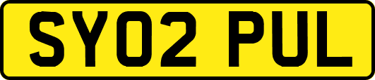 SY02PUL