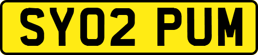 SY02PUM