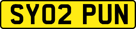 SY02PUN