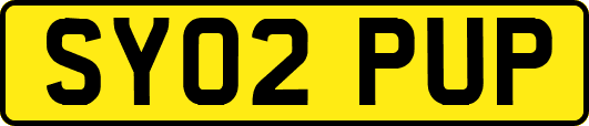 SY02PUP