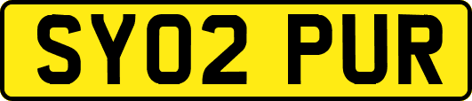 SY02PUR