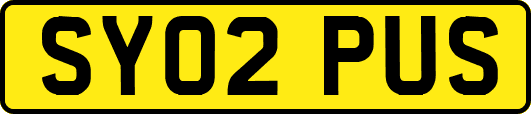 SY02PUS