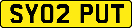 SY02PUT