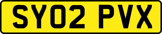 SY02PVX
