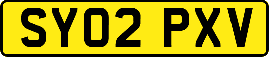 SY02PXV