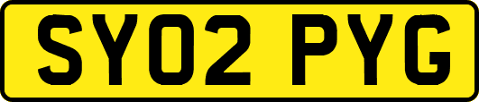 SY02PYG
