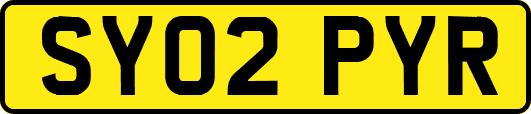 SY02PYR