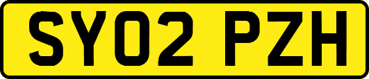 SY02PZH