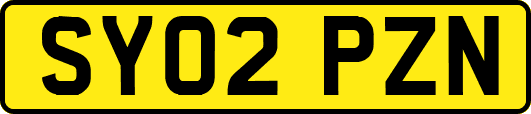 SY02PZN