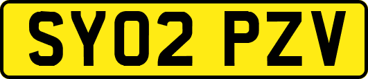SY02PZV