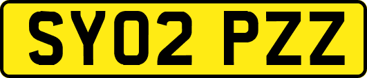 SY02PZZ