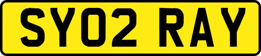 SY02RAY