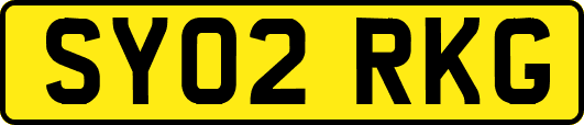 SY02RKG