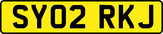 SY02RKJ