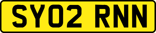 SY02RNN