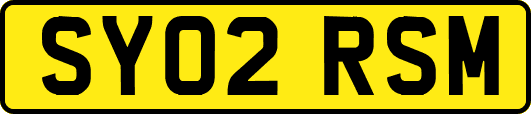SY02RSM