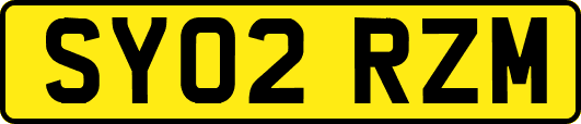 SY02RZM