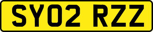 SY02RZZ