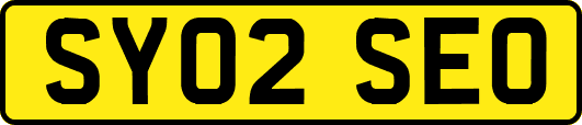 SY02SEO