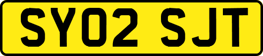 SY02SJT