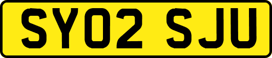 SY02SJU