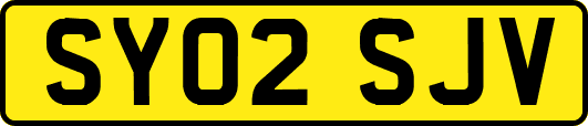 SY02SJV