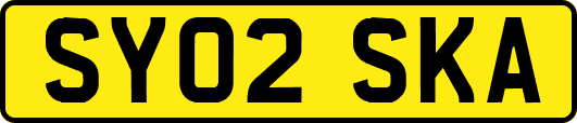 SY02SKA