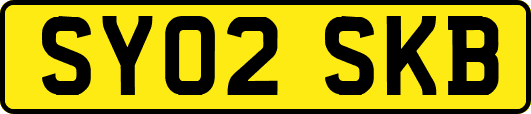 SY02SKB