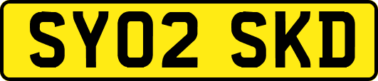 SY02SKD