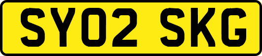 SY02SKG