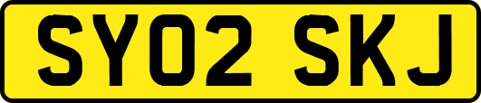 SY02SKJ
