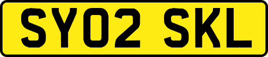 SY02SKL