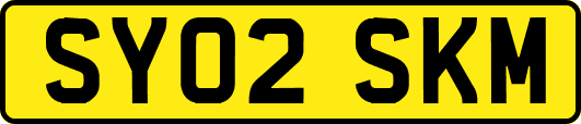 SY02SKM