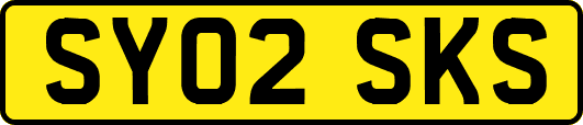 SY02SKS