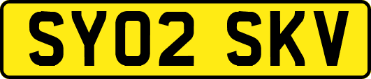 SY02SKV