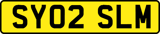 SY02SLM